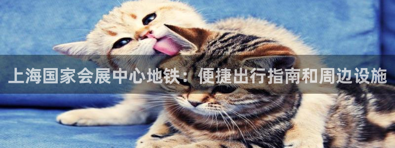 果博代理网