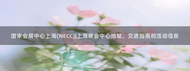 果博注册充值怎么充：国家会展中心上海(NECC)|上海展会中心地址、交通指南和活动信息