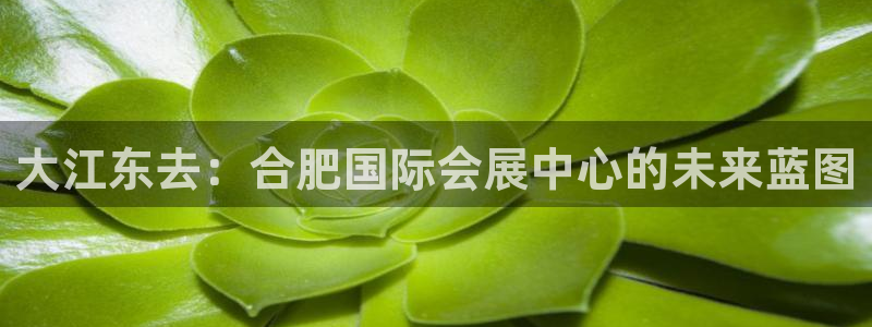 果博注册充值：大江东去：合肥国际会展中心的未来蓝图