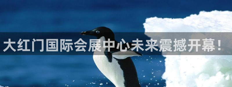 果博东手机版下载开户：大红门国际会展中心未来震撼开幕！