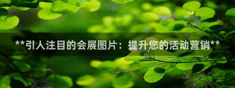 果博平台真实吗：**引人注目的会展图片：提升您的活动营销**