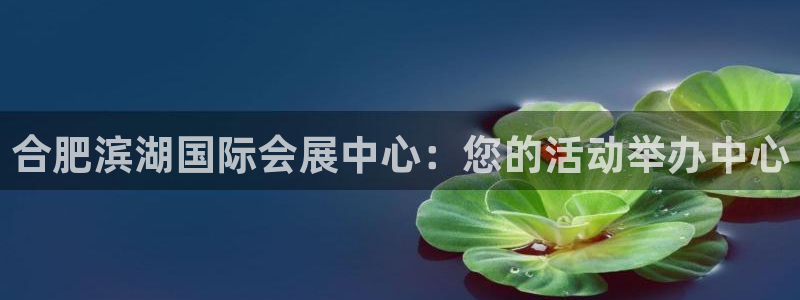 果博平台开户电话是多少