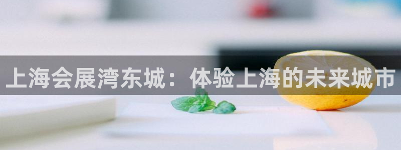 下载果博：上海会展湾东城：体验上海的未来城市