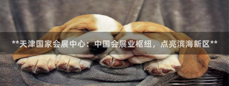 果博平台开户电话：**天津国家会展中心：中国会展业枢纽，点亮滨海新区**
