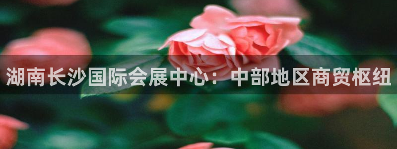 果博官网客服电话号码：湖南长沙国际会展中心：中部地区商贸枢纽