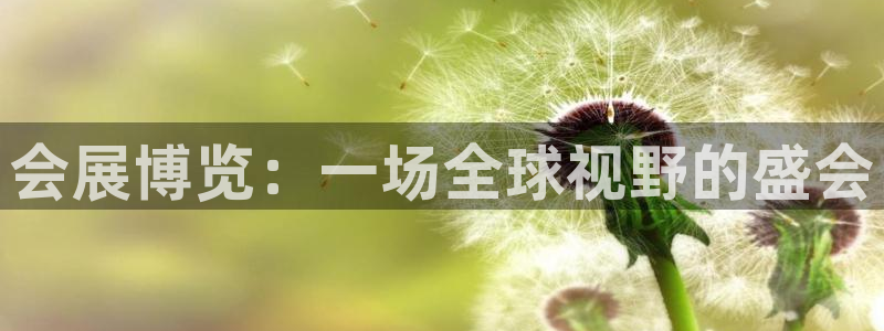 果博注册客服电话是多少：会展博览：一场全球视野的盛会