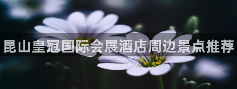 果博公司开户热线：昆山皇冠国际会展酒店周边景点推荐