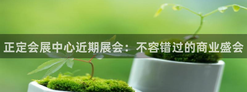 果博官网在银博：正定会展中心近期展会：不容错过的商业盛会