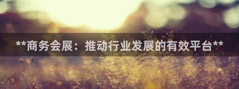 果博公司直属会员开户：**商务会展：推动行业发展的有效平台**