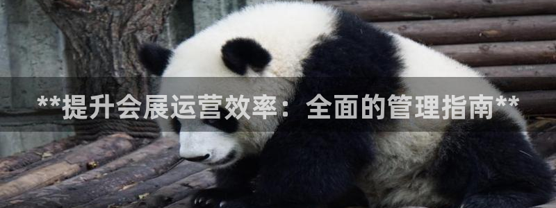 果博公司：**提升会展运营效率：全面的管理指南**