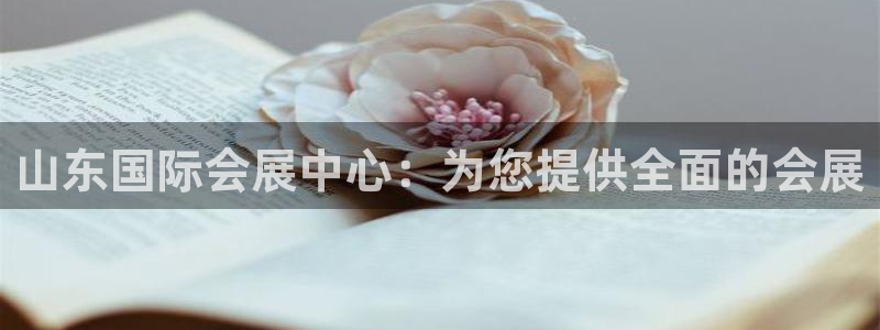 果博代理网：山东国际会展中心：为您提供全面的会展