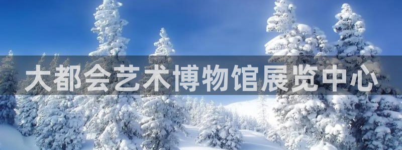果博账号注册要钱吗：大都会艺术博物馆展览中心