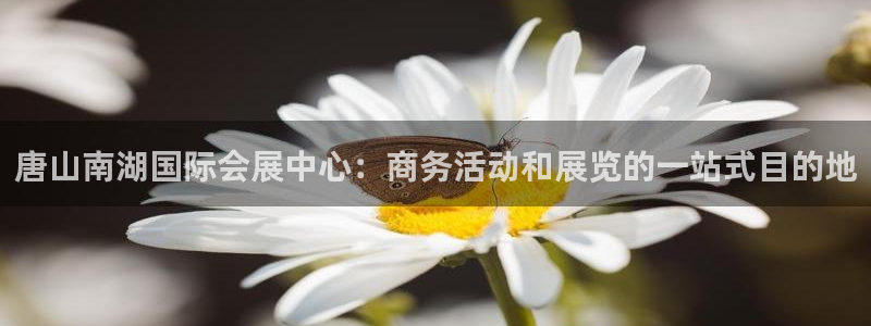 果博客服电话多少：唐山南湖国际会展中心：商务活动和展览的一站式目的地