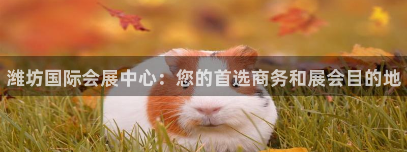 果博旗舰厅：潍坊国际会展中心：您的首选商务和展会目的地