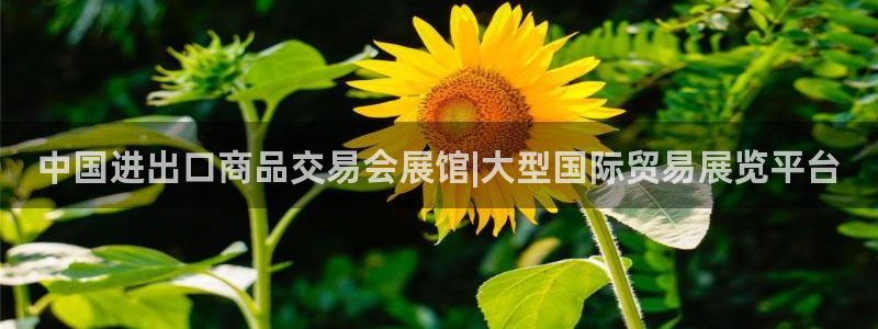 果博注册电话：中国进出口商品交易会展馆|大型国际贸易展览平台
