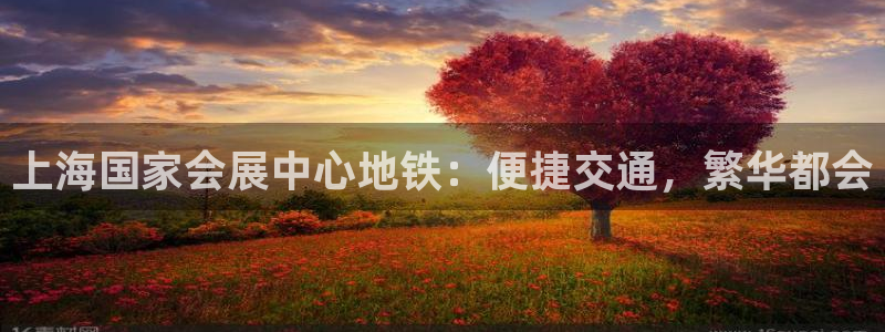 果博注册平台怎么注册账号：上海国家会展中心地铁：便捷交通，繁华都会