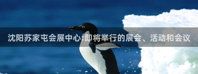 苹果电脑怎么下载博弈大师等软件
