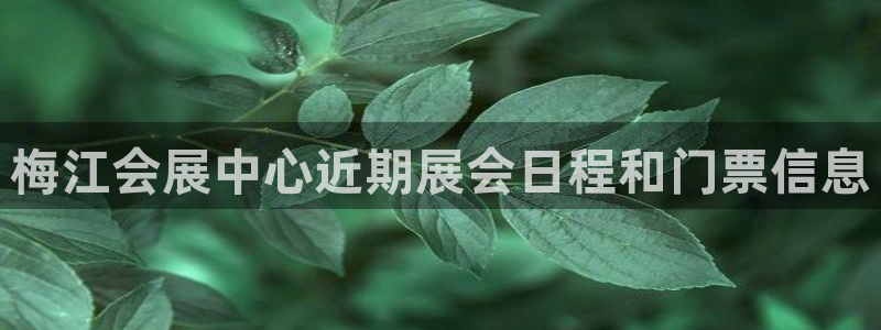 果博注册平台怎么注册账号