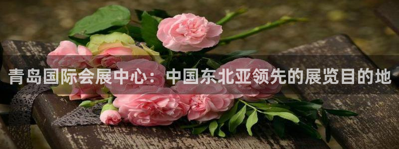 果博平台真实吗安全吗可信吗：青岛国际会展中心：中国东北亚领先的展览目的地
