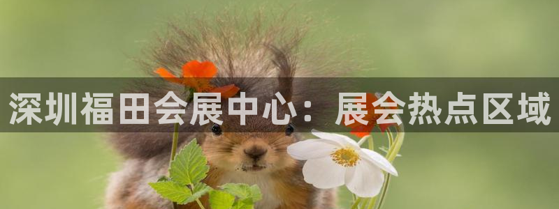 果博客服电话：深圳福田会展中心：展会热点区域
