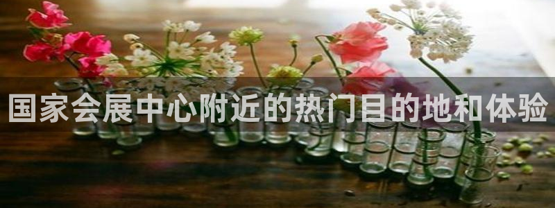 果博公司客服怎么样：国家会展中心附近的热门目的地和体验