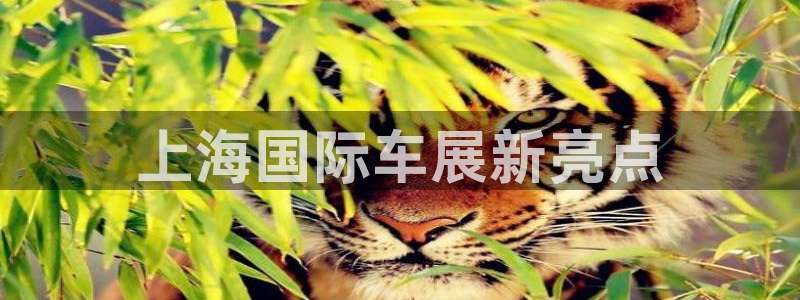 果博gbe168：上海国际车展新亮点
