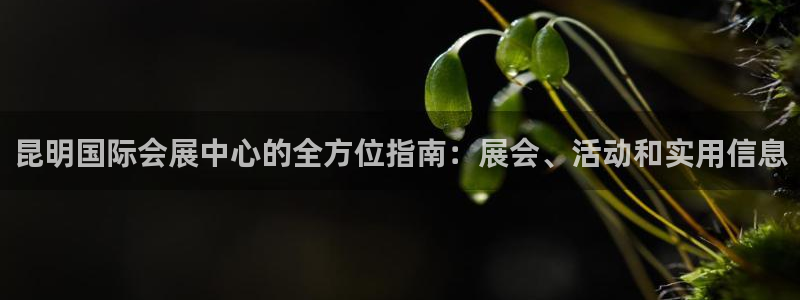 果博公司游戏网址