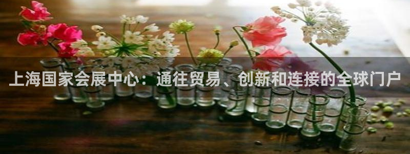 果博注册平台怎么注册的：上海国家会展中心：通往贸易、创新和连接的全球门户