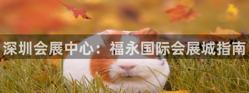 果博公司怎么注册会员：深圳会展中心：福永国际会展城指南