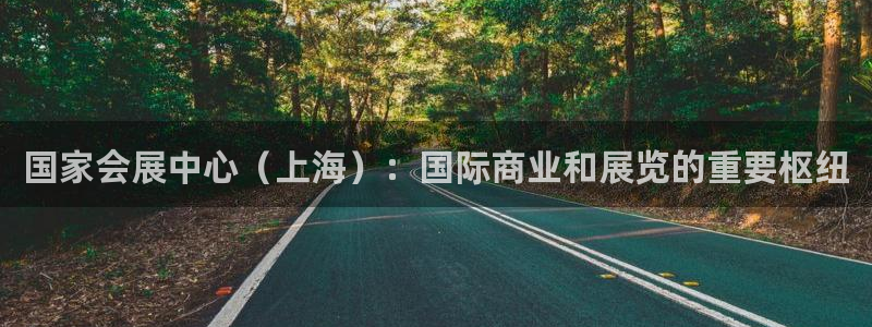 果博园简介：国家会展中心（上海）：国际商业和展览的重要枢纽