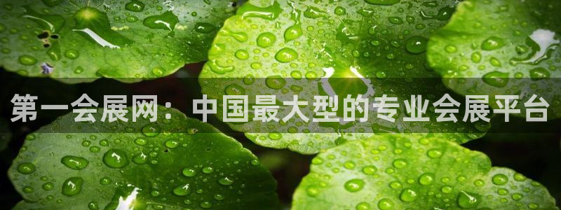 果博注册平台怎么注册不了：第一会展网：中国最大型的专业会展平台