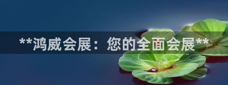 果博平台开户电话号码：**鸿威会展：您的全面会展**