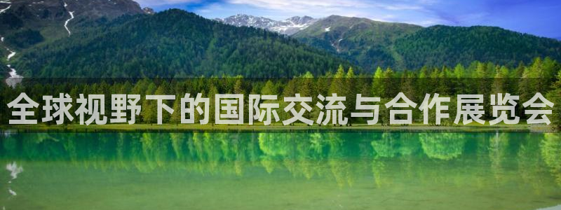 果博注册：全球视野下的国际交流与合作展览会