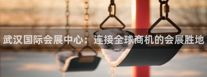 果搏代理：武汉国际会展中心：连接全球商机的会展胜地