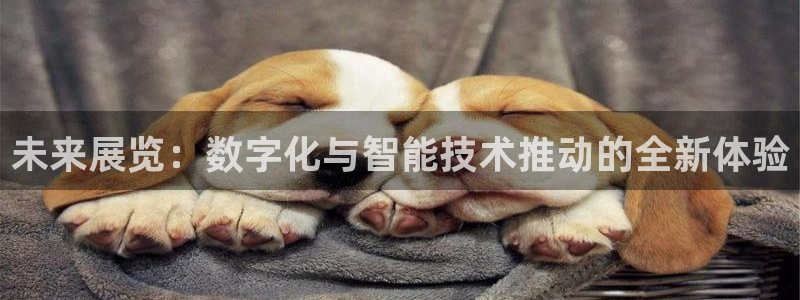 下载果博博东方：未来展览：数字化与智能技术推动的全新体验