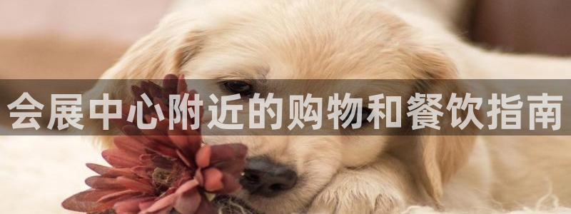 果博服务电话
