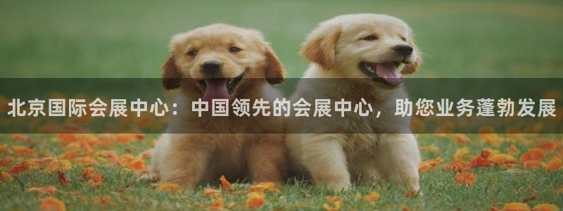 果博怎么注册账号：北京国际会展中心：中国领先的会展中心，助您业务蓬勃发展
