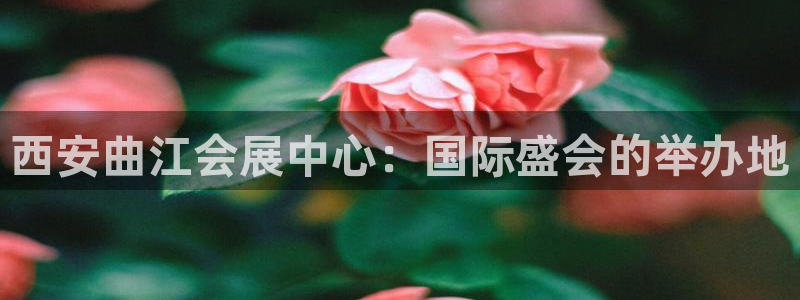 果博app官网下载：西安曲江会展中心：国际盛会的举办地