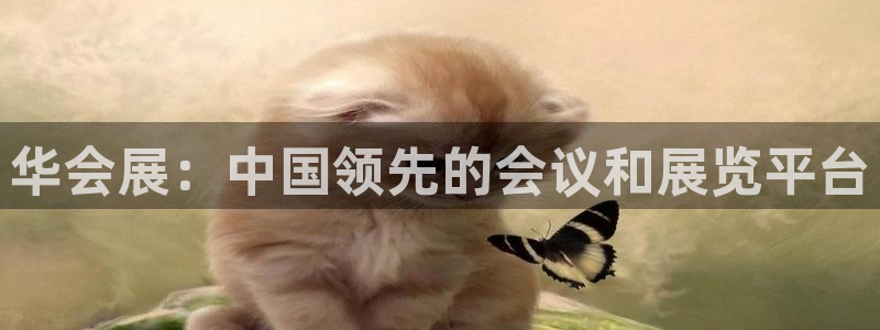 果博客服联系电话