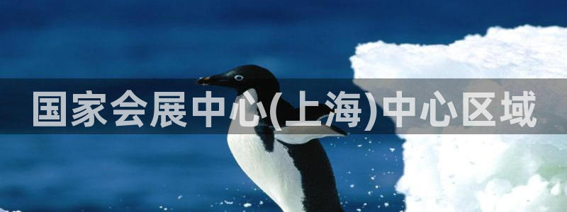 果博注册客服电话：国家会展中心(上海)中心区域
