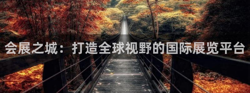苹果电脑怎么下载伯索：会展之城：打造全球视野的国际展览平台