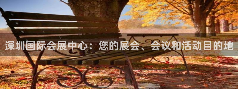 果博注册充值怎么充：深圳国际会展中心：您的展会、会议和活动目的地