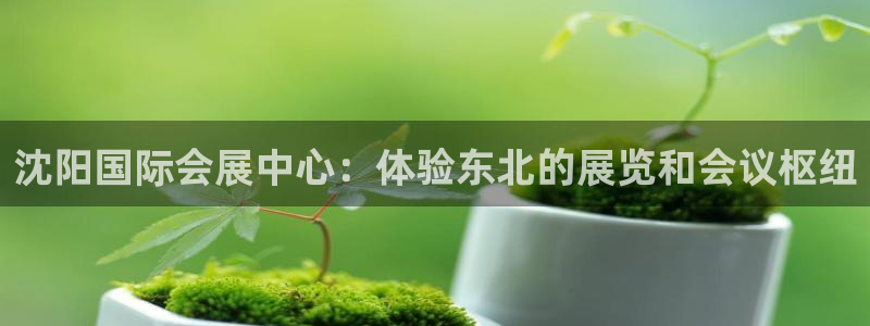 果博注册充值：沈阳国际会展中心：体验东北的展览和会议枢纽