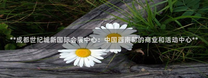 果博注册链接：**成都世纪城新国际会展中心：中国西南部的商业和活动中心**