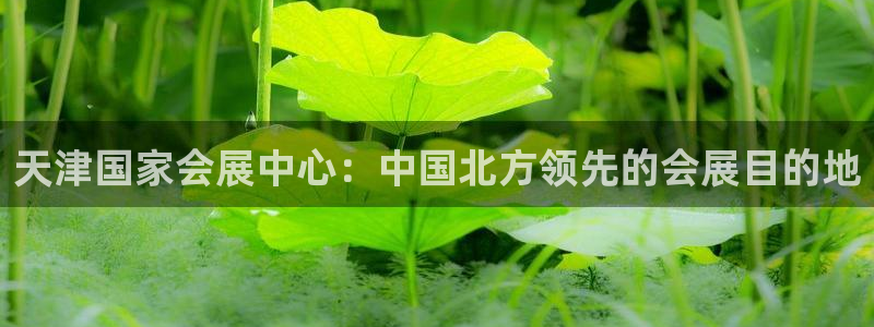 手机怎样下载果博：天津国家会展中心：中国北方领先的会展目的地