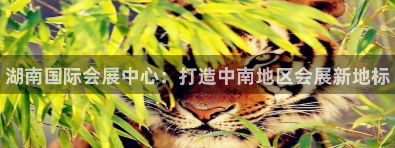 果博公司在线客服：湖南国际会展中心：打造中南地区会展新地标