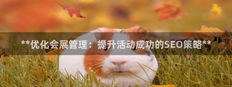 果博官方热线：**优化会展管理：提升活动成功的SEO策略**