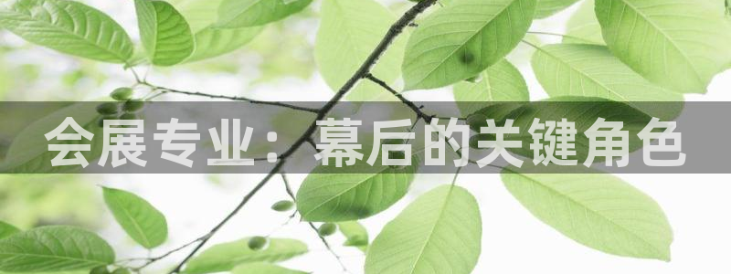 果博平台真实吗安全吗可信吗是真的吗：会展专业：幕后的关键角色