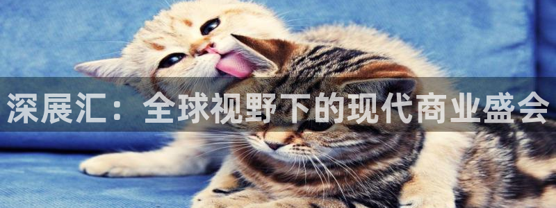 果博公司客服电话号码：深展汇：全球视野下的现代商业盛会