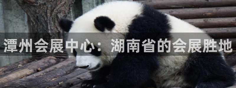 果博公司会员注册账号开户：潭州会展中心：湖南省的会展胜地